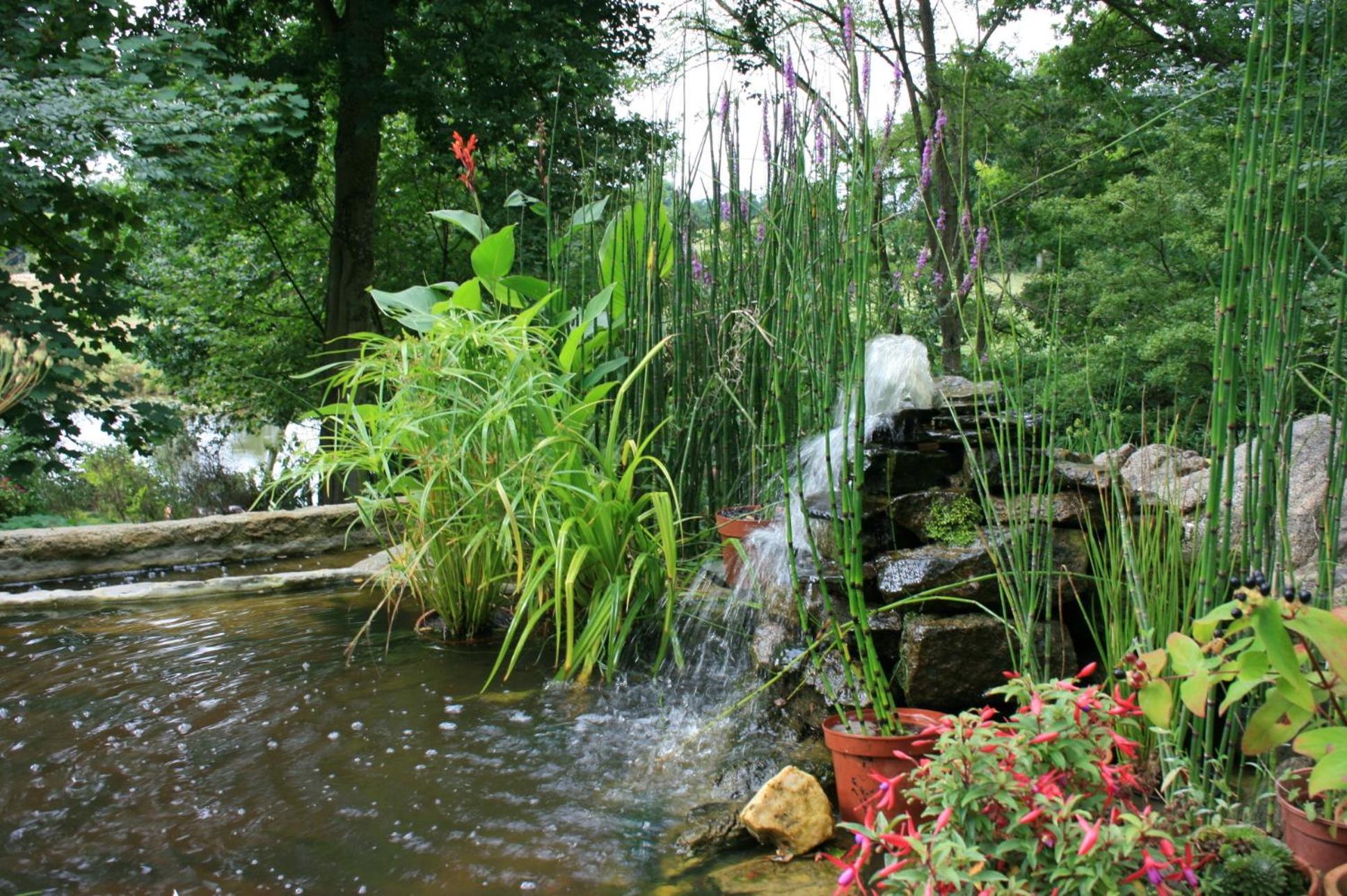 Bed and Breakfast Au Pont Ricoul Saint-Pierre-de-Plesguen Zewnętrze zdjęcie