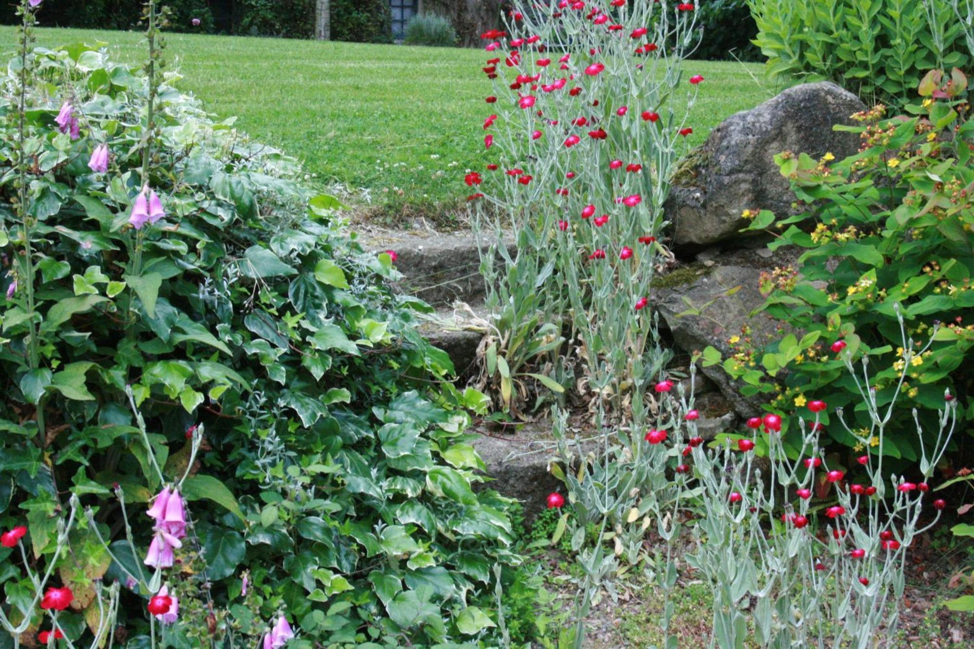 Bed and Breakfast Au Pont Ricoul Saint-Pierre-de-Plesguen Zewnętrze zdjęcie